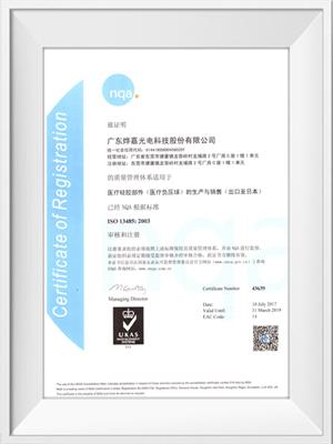 PNGӹISO13485֤飨ģ